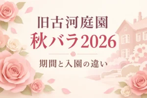 旧古河庭園の秋バラ2026はいつまで？フェス期間と開花状況・早朝入園の違いを解説する記事の表紙。